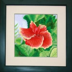 Hoa dâm bụt 2 - FL-068