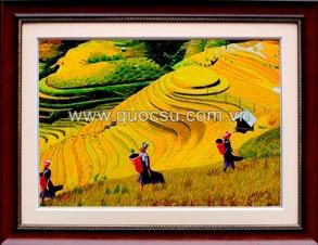 Ruộng bậc thang 1 - QS.đ-096c