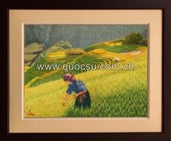 Ruộng bậc thang 6 - VN-091b